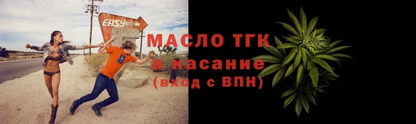 гидра Надым