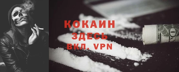 гашик Михайловск