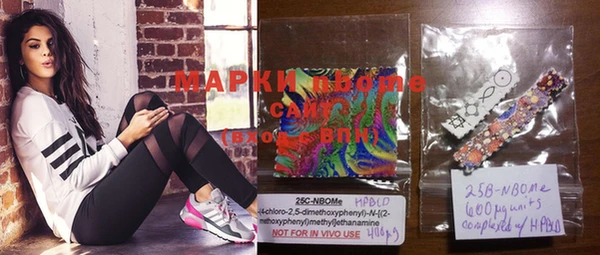 индика Арсеньев