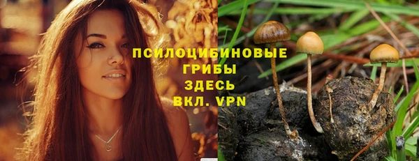 гидра Надым