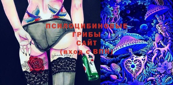 гашик Михайловск