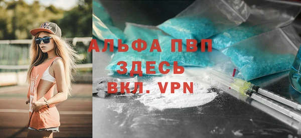 гашик Михайловск