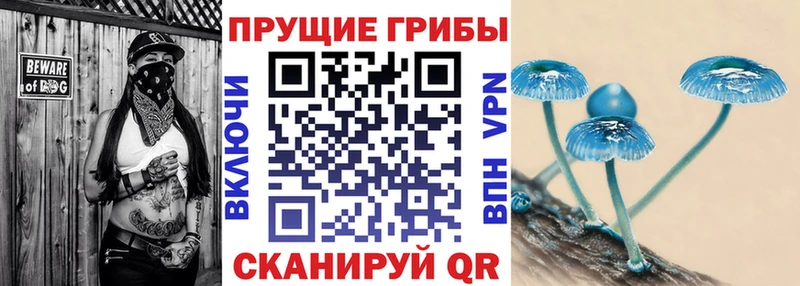 сколько стоит  Неман  Галлюциногенные грибы Cubensis 